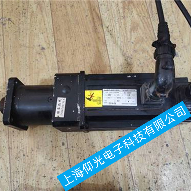 路斯特伺服電機(jī)維修 LSMM13-300-4N-000常見(jiàn)故障維修